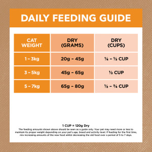 Ivory Coat Adult Dry Cat Food Grain Free Chicken Daily Feed