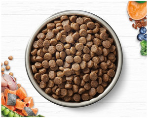 Ivory Coat Kitten Dry Cat Food Grain Free Ocean Fish & Salmon