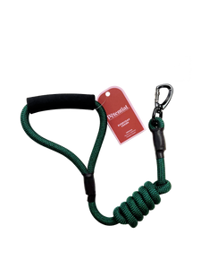 Petential Everyday Dog Leash Green