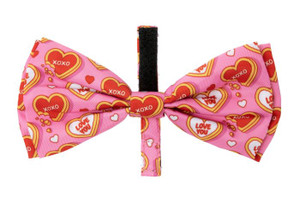 FuzzYard You Bake Me Happy Bowtie for Dogs & Cats