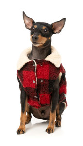 FuzzYard The Lumberjack Dog Jacket Red