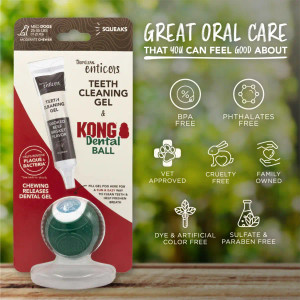 Tropiclean Enticers Dog Teeth Cleaning Gel and KONG Dental Ball - Smoked Beef Brisket