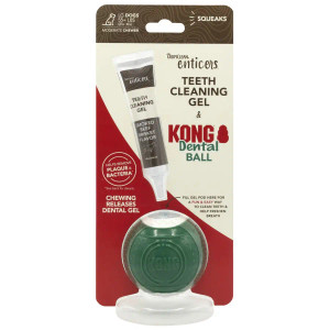 Tropiclean Enticers Dog Teeth Cleaning Gel and KONG Dental Ball - Smoked Beef Brisket