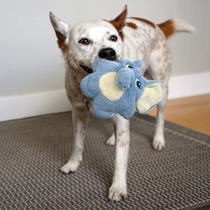 KONG Snuzzles Kiddos Elephant Dog Toy