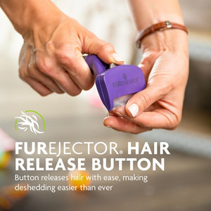 FURminator Short Hair Cat Deshedding Tool Medium