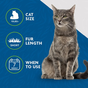 FURminator Short Hair Cat Deshedding Tool Medium