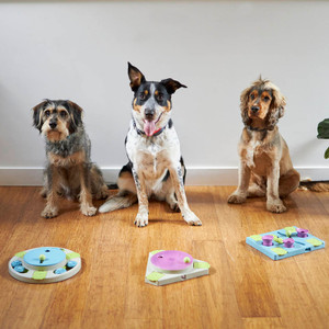 Kazoo Dog Triangle Turn Interactive Puzzle Feeder
