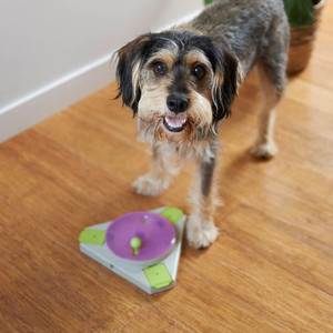 Kazoo Dog Triangle Turn Interactive Puzzle Feeder