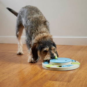 Kazoo Dog Circle Slider Interactive Puzzle Feeder