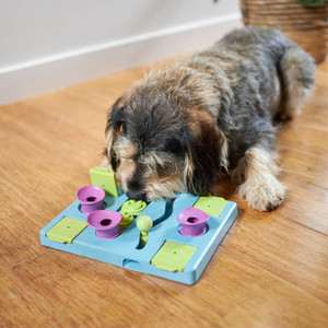 Kazoo Dog Rectangle Rumble Interactive Puzzle Feeder