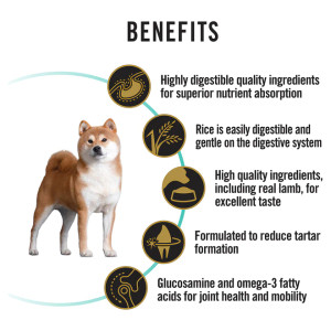 Pro Plan Adult Sensitive Digestion Lamb Dry Dog Food