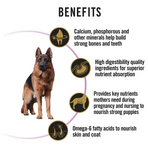 Pro Plan Adult Performance Dry Dog Food