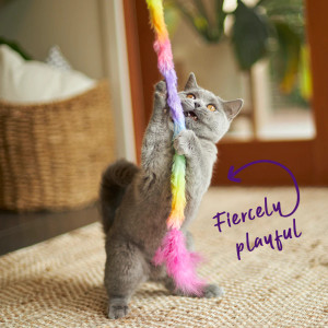 Kazoo Fluffy Rainbow Tail Cat Toy