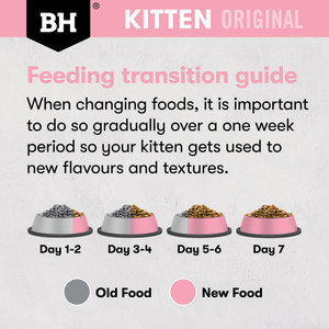 Black Hawk Kitten Original Chicken Dry Food