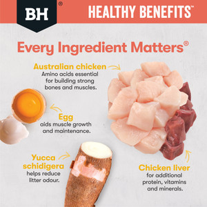 Black Hawk Healthy Benefits Indoor Chicken Dry Adult Cat Food