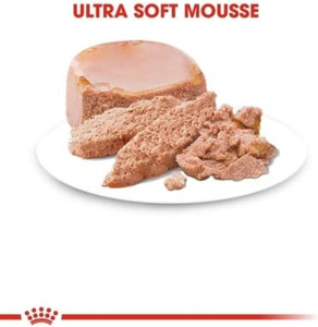 Royal Canin Mother & Babycat Wet Cat Food Tin