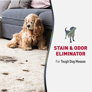 Nature's Miracle  Stain & Odor Eliminator Sunny Lemon For Dogs