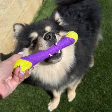 Kazoo Extreme Play Chew Stick Dog Toy