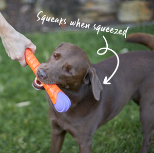 Kazoo Extreme Play Chew Stick Dog Toy