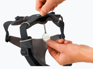 Ruffwear Front Range Dog Harness Basalt Gray