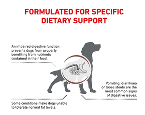 Royal Canin Veterinary Diet Gastrointestinal Low Fat Loaf Wet Dog Food