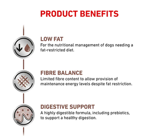 Royal Canin Veterinary Diet Gastrointestinal Low Fat Loaf Wet Dog Food