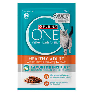 Purina One Cat Healthy Adult Succulent Chicken in Gravy Wet Cat Food