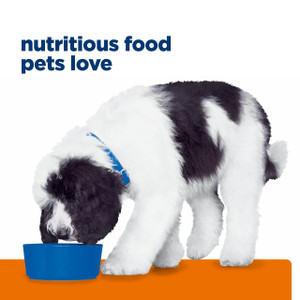 Hill's Prescription Diet c/d Multicare Urinary Care Dry Dog Food 7.98kg