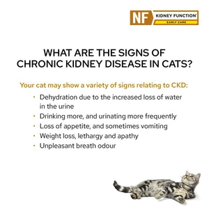 Pro Plan Veterinary Diet Kidney Function Early Care Wet Cat Food