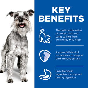 Hill's Science Diet Adult 7+ Senior Small & Mini with Chicken Wet Dog Food