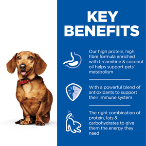 Hill's Science Diet Perfect Weight Small & Mini with Turkey Wet Dog Food