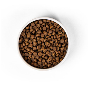SavourLife  Adult Dry Cat Food | Ocean Fish