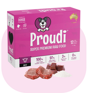 PROUDI Raw Beef Patties for Dogs