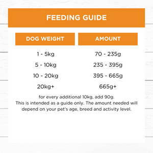 Ivory Coat Chicken Frozen Dog Food