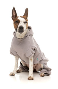 FuzzYard Cool Grey Urban Dog Tracksuit
