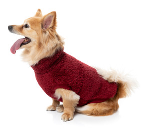 FuzzYard Maroon Turtle Teddy Dog Sweater