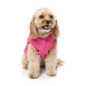 FuzzYard EVO Pink Dog Raincoat