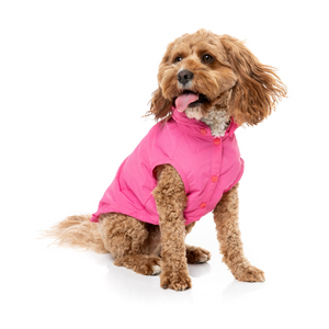 FuzzYard EVO Pink Dog Raincoat