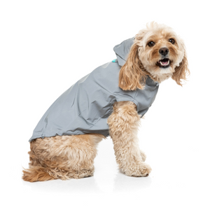 FuzzYard EVO Reflective Dog Raincoat