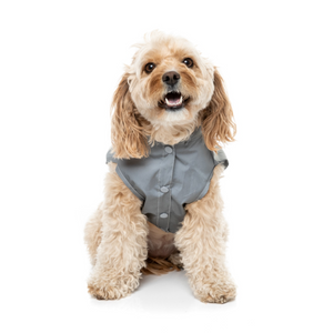 FuzzYard EVO Reflective Dog Raincoat