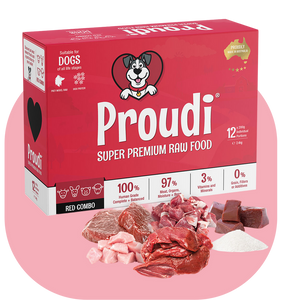PROUDI Raw Combo Patties for Dogs