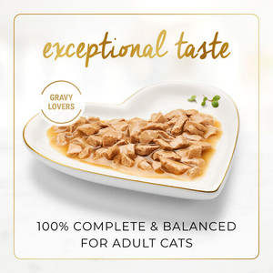 Fancy Feast Gravy Lovers Salmon Feast in Gravy Wet Cat Food 