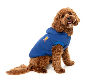 FuzzYard Blue Homies Hoodie