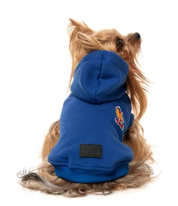 FuzzYard Blue Homies Hoodie