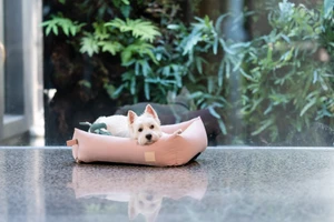 Fuzzyard Life Dog Bed - Soft Blush