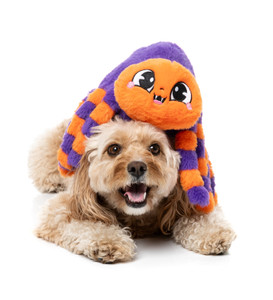 FuzzYard Tarantina the Spider Halloween Dog Toy