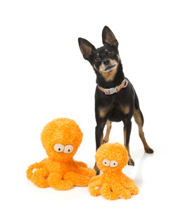 FuzzYard Neighbourhood Nasties Dog Toy Little Sir Legs A lot the Octopus