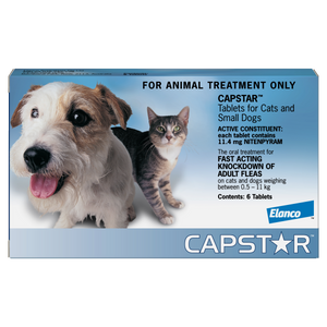 Capstar Flea Treatment For Small Dogs & Cats