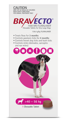 Bravecto Flea & Tick Chew For Extra Large Dogs Pink front