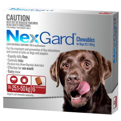 Nexgard deals 6 month